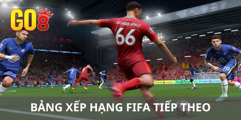 Bảng xếp hạng top 5 đội tuyển FIFA tiếp theo