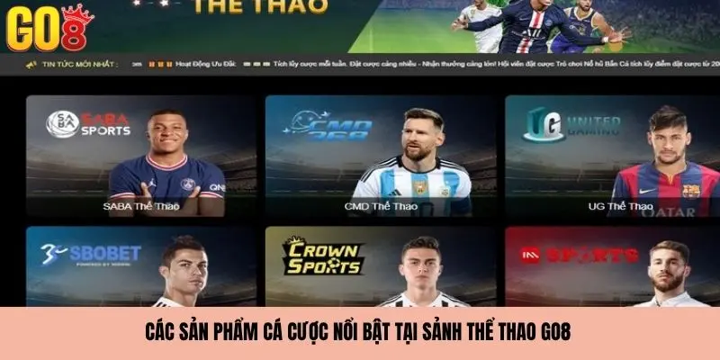 Các sản phẩm nổi bật tại Thể Thao GO8